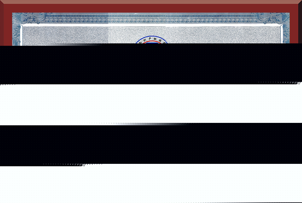 05、廣東省知識產(chǎn)權(quán)示范企業(yè)